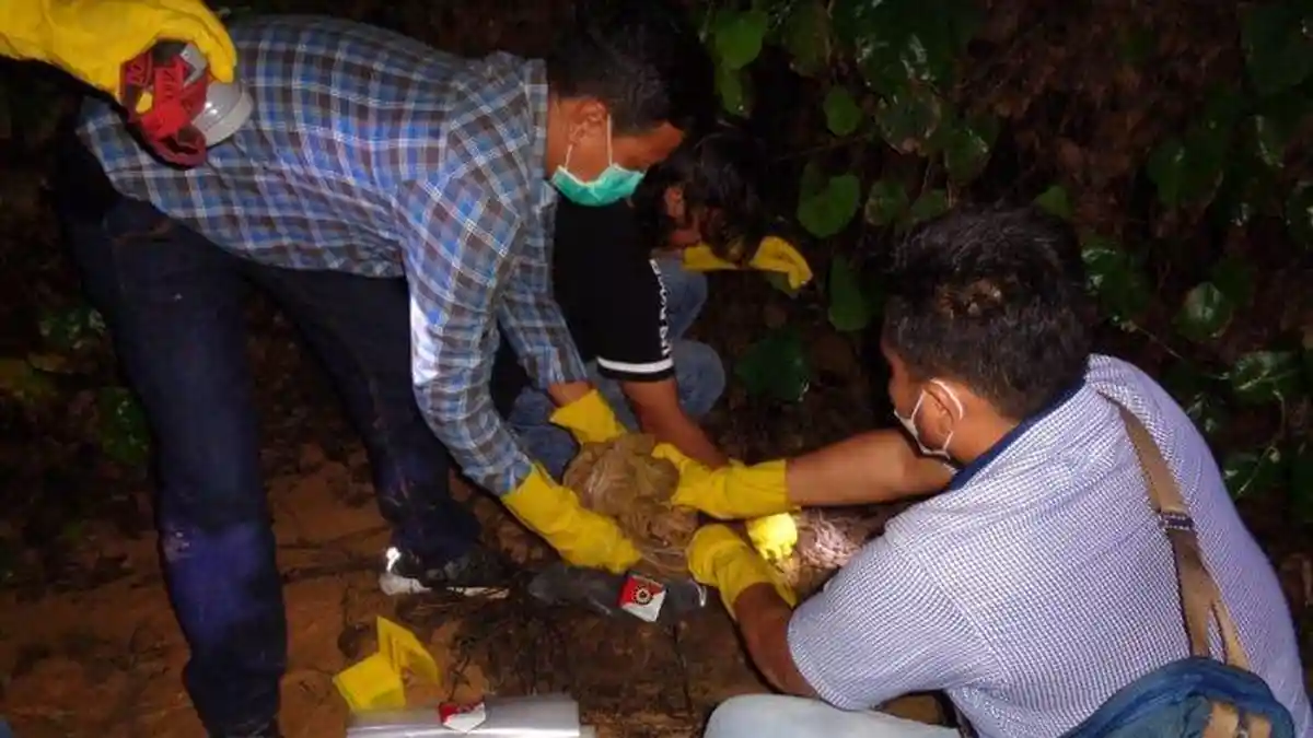 Kerangka yang Ditemukan di Sintang Korban Pembunuhan
