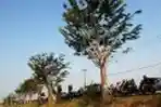 Jalur Alternatif Karawang
