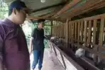 Dinas-Peternakan-Kabupaten-Bangkalan-ingin-mendapatkan-hak-paten-rumpun-Kambing-Pote.jpg