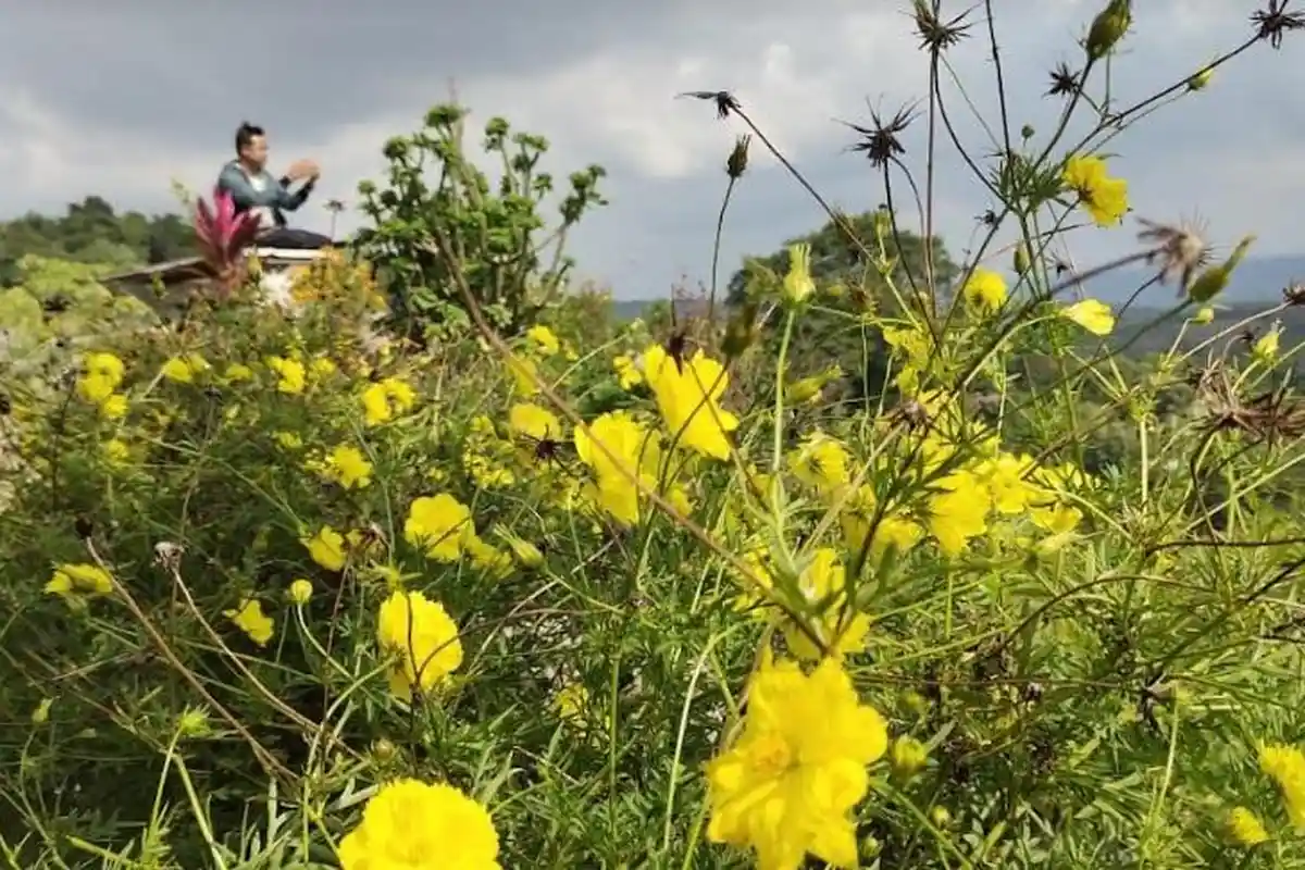 WISATA BLORA : Melihat Panorama Alam dan Hutan Blora Di WDB Garden Desa Soko