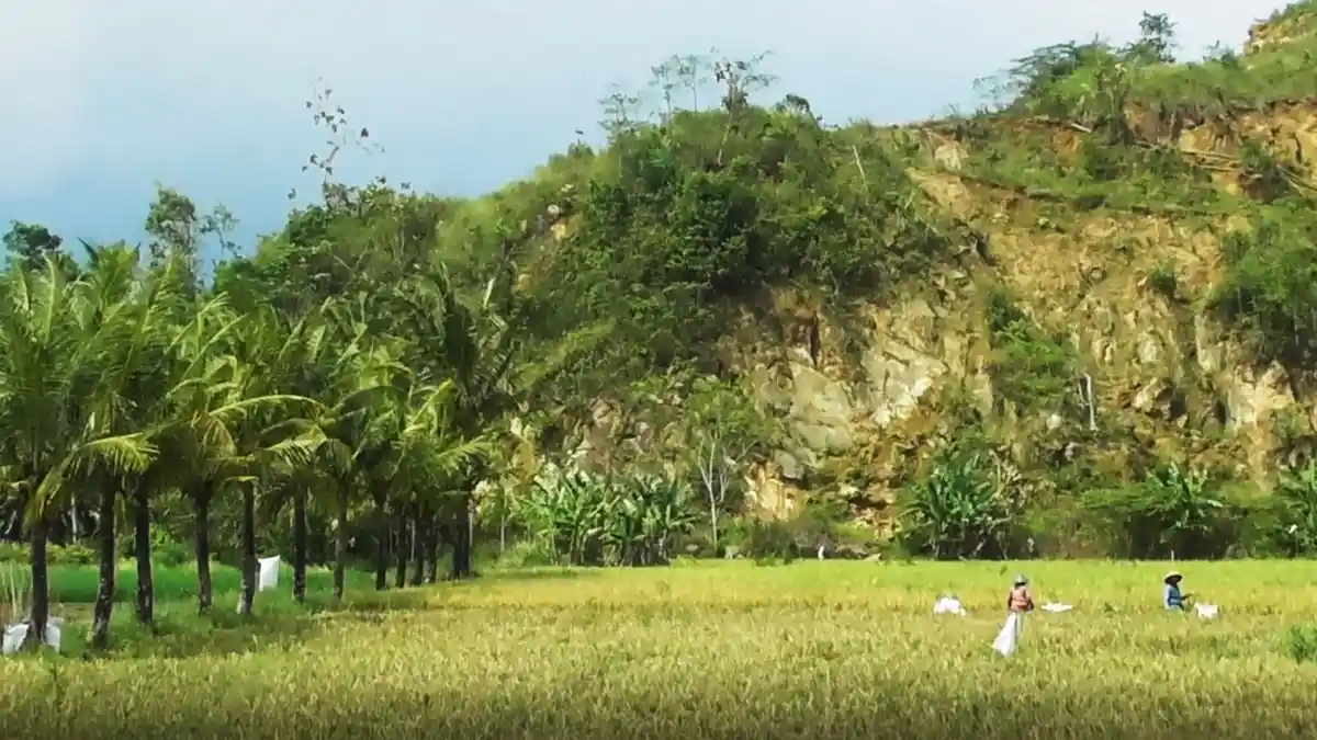 Gugusan Bukit di Godean-Seyegan Ini Ternyata Gunung Api Purba Berusia Puluhan Juta Tahun!