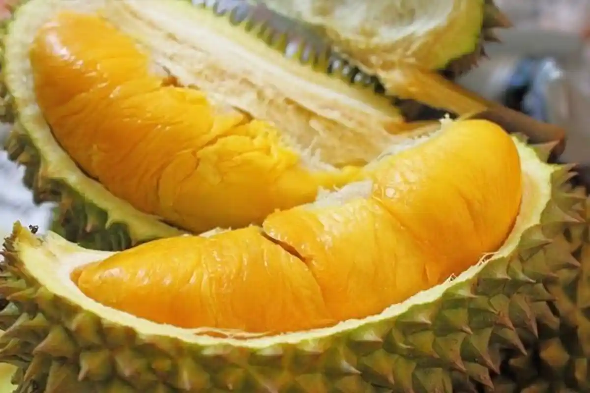 Tips Memilih Durian yang Enak, Warna dan Bunyi Bisa Indikasikan Rasa Buahnya