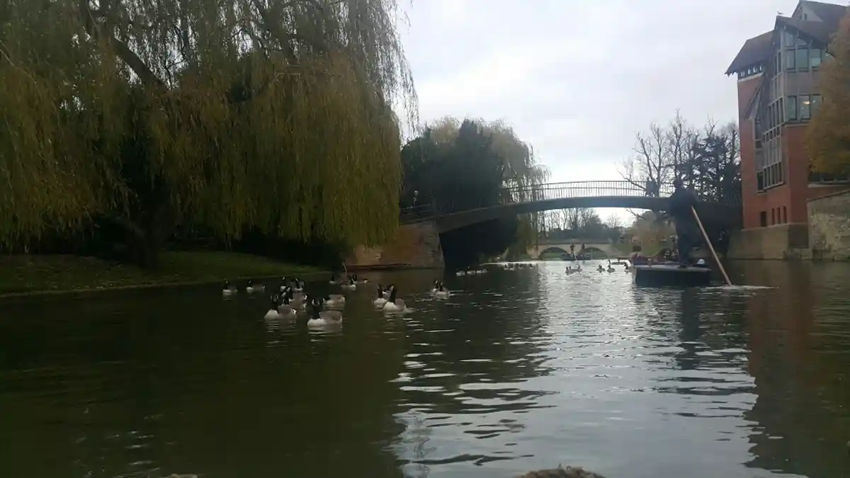 Menyusuri Cam River, Cambridge, Inggris, Napak Tilas Keindahan Abad Pertengahan