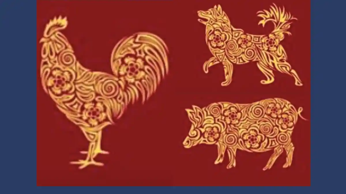 Ramalan Shio Ayam-Anjing-Babi Besok Jumat 15 September 2023: Melangkahlah