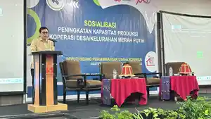 KOP22222.jpg