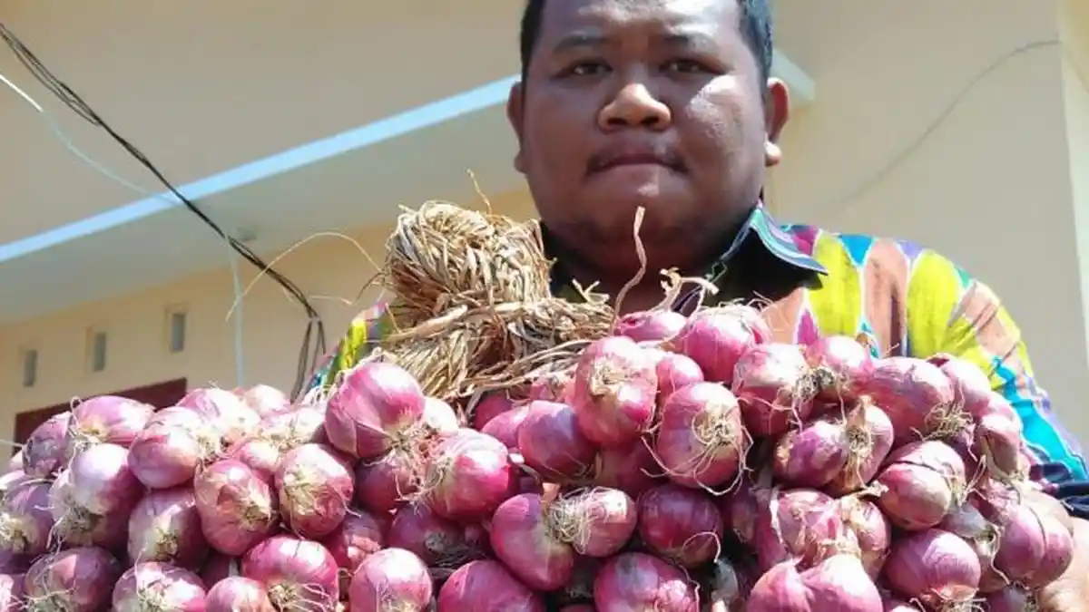 Stok Melimpah, Harga Beberapa Komoditas di Flamboyan Turun