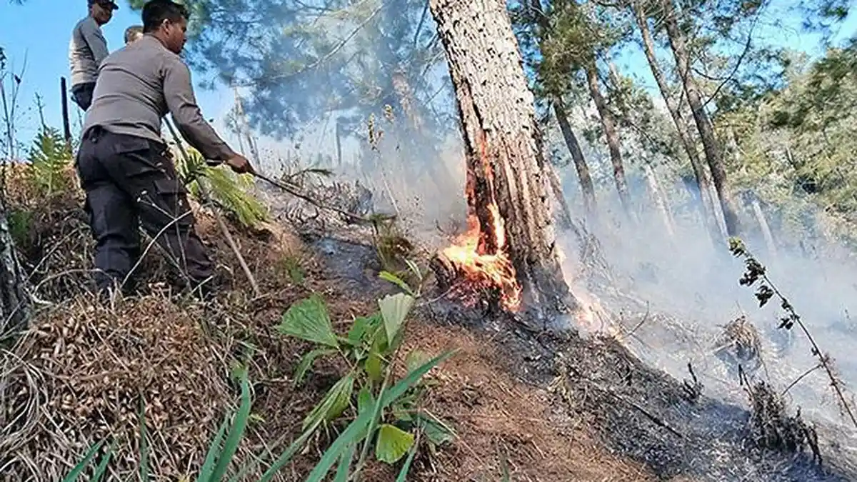 PANAS, Pegunungan Kalang Rawe Aceh Tengah Terbakar, 10 Hektare Lahan Hangus