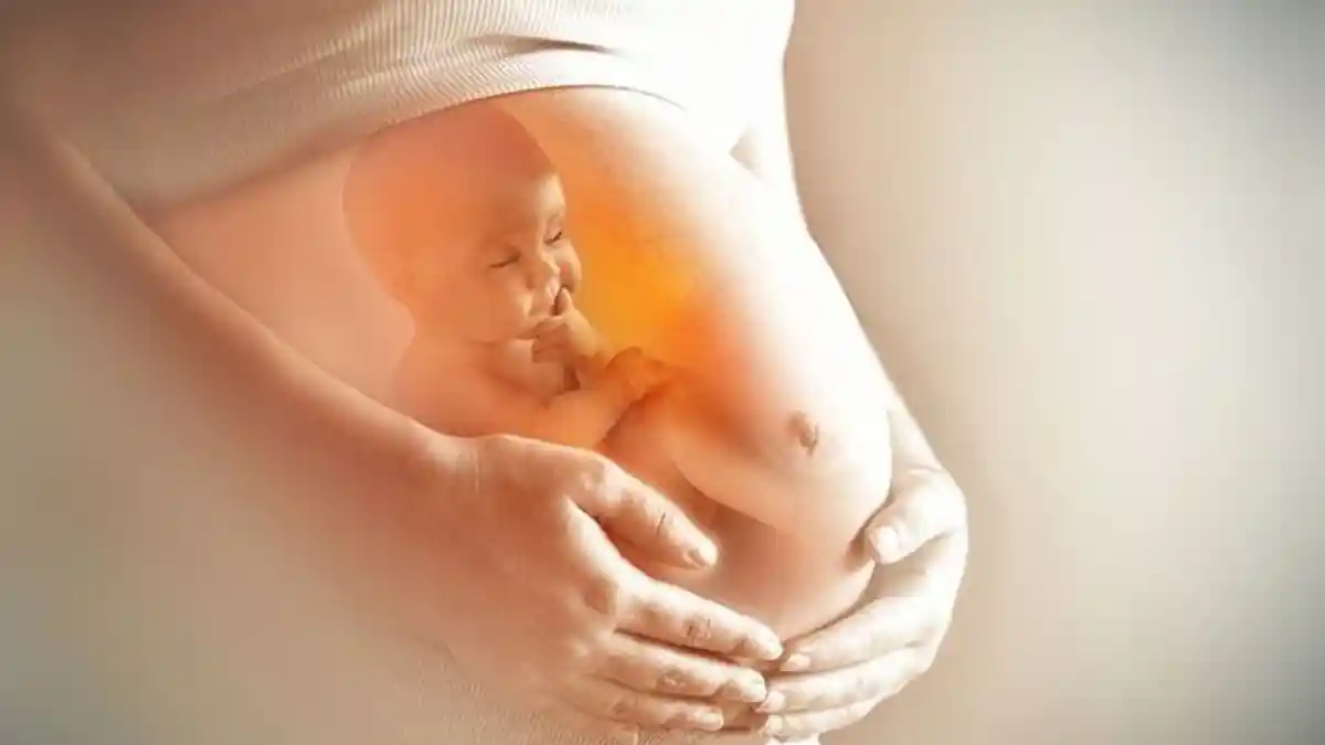 Bayi dalam Kandungan Sudah Bisa Merespons Rasa dan Bau Makanan