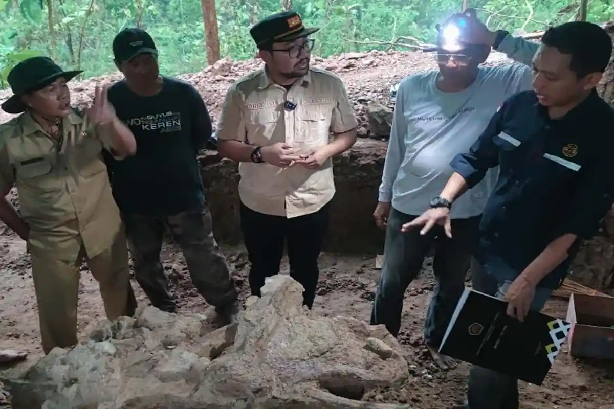 Ekskavasi Fosil Stegodon, Wabup Nganjuk Mas Handy Ikut Tinjau Langsung