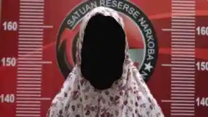 Resahkan-Warga-Wanita-di-Banyuasin-Ditangkap-Karena-Jadi-Pengedar-Sabu-Rumahnya-Digerebek-Polisi.jpg