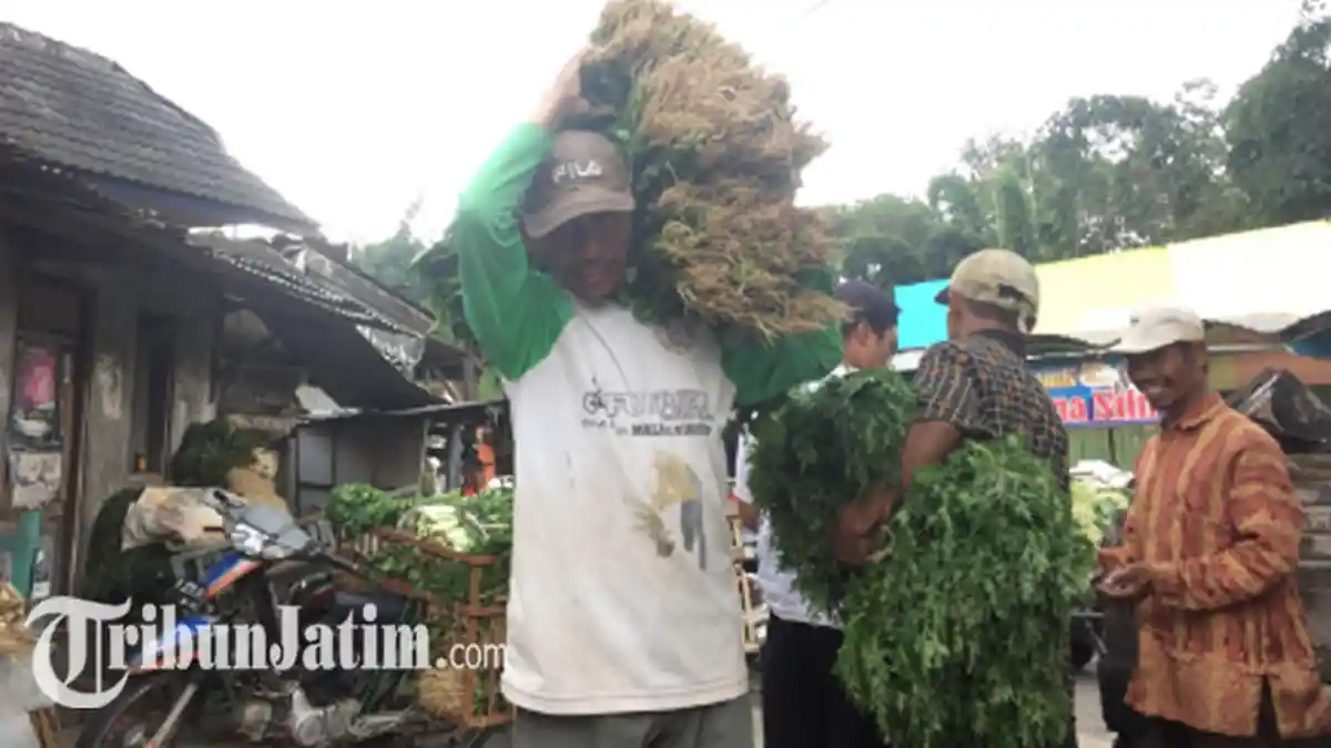 Sebagian Sayur Pedagang yang Tidak Laku Dibeli oleh Pemkab Malang