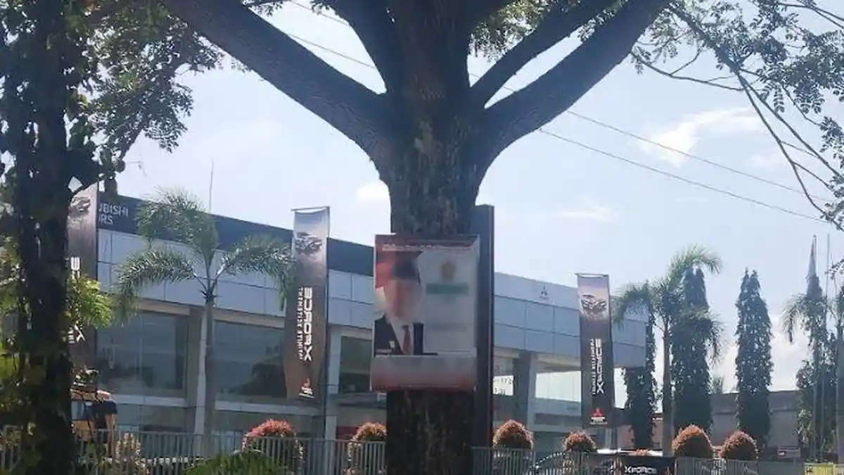 Kampanye Hari Pertama, Masih Banyak Peserta Pemilu di Padang yang Pasang APK di Pohon Pelindung