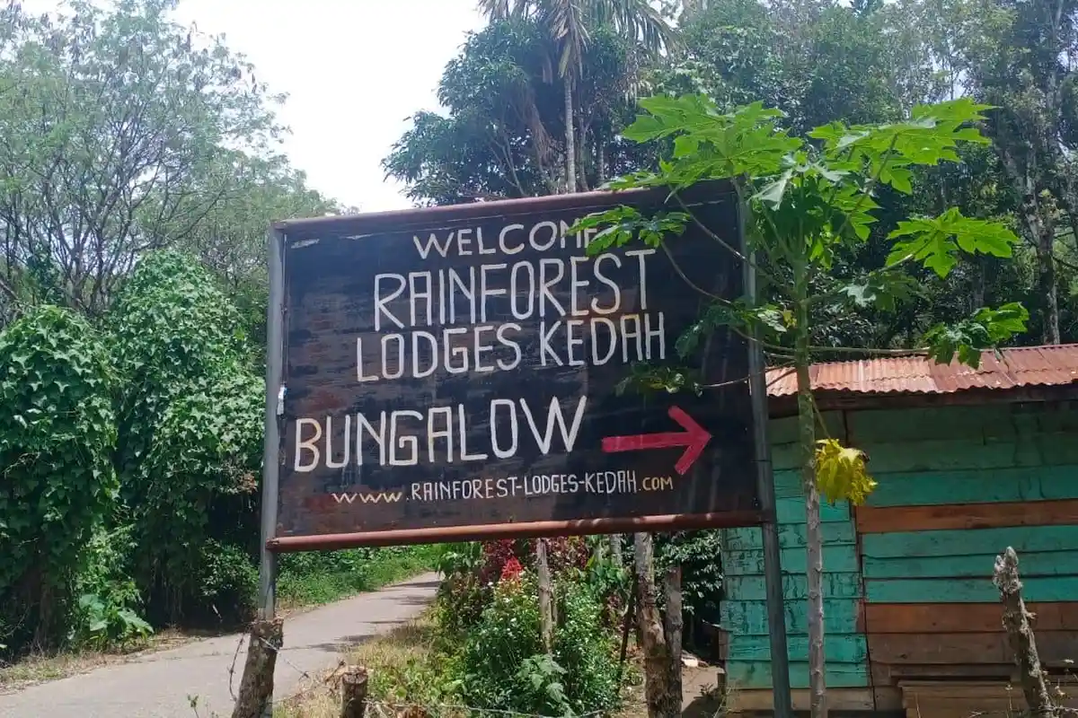 Wisata Gayo Lues, Rain Forest Lodges Kedah Bunglow Dihiasi Berbagai Tanaman Bunga 