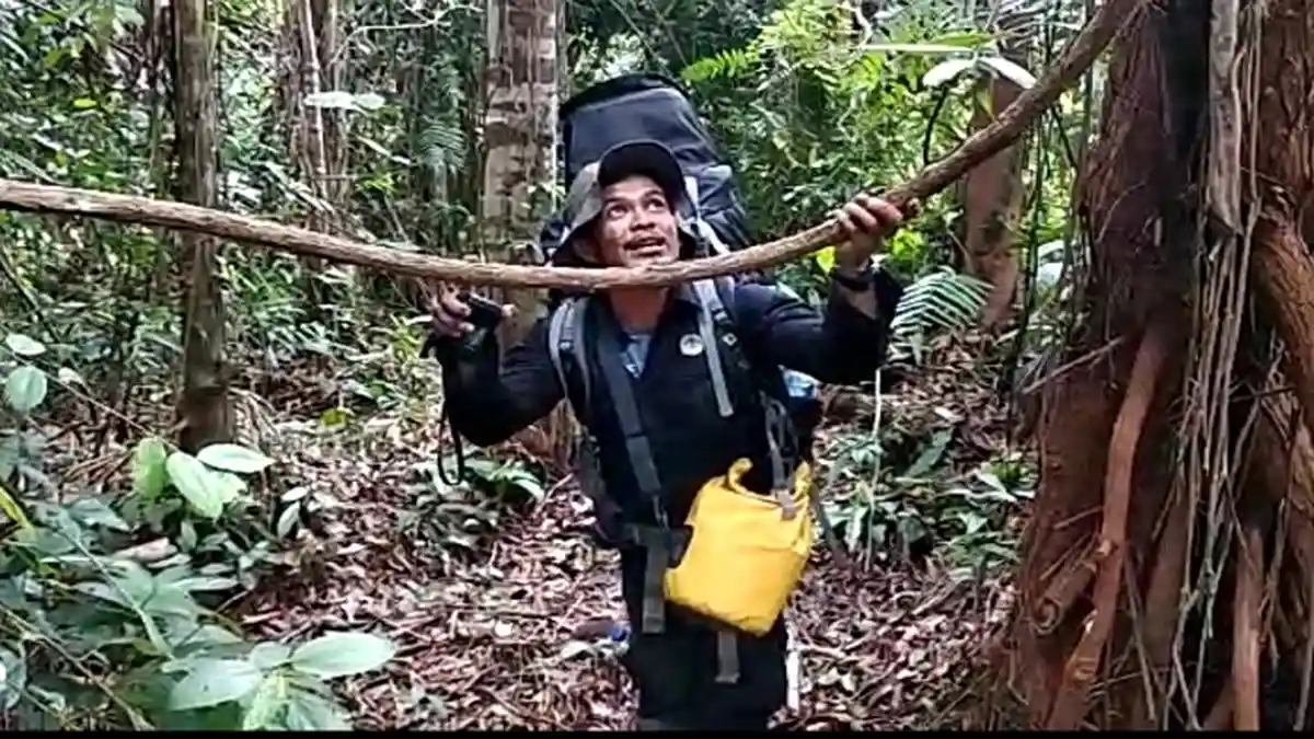 Rasa Air Kayu Bajakah Tergantung Musim   
