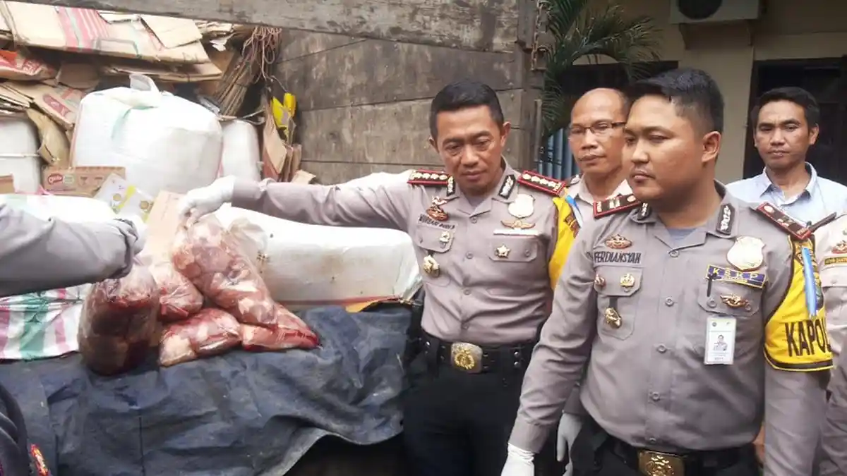 Diimingi Rp 7 Juta Bawa Daging Celeng, Sopir Truk Ini Tertangkap di Pelabuhan Panjang