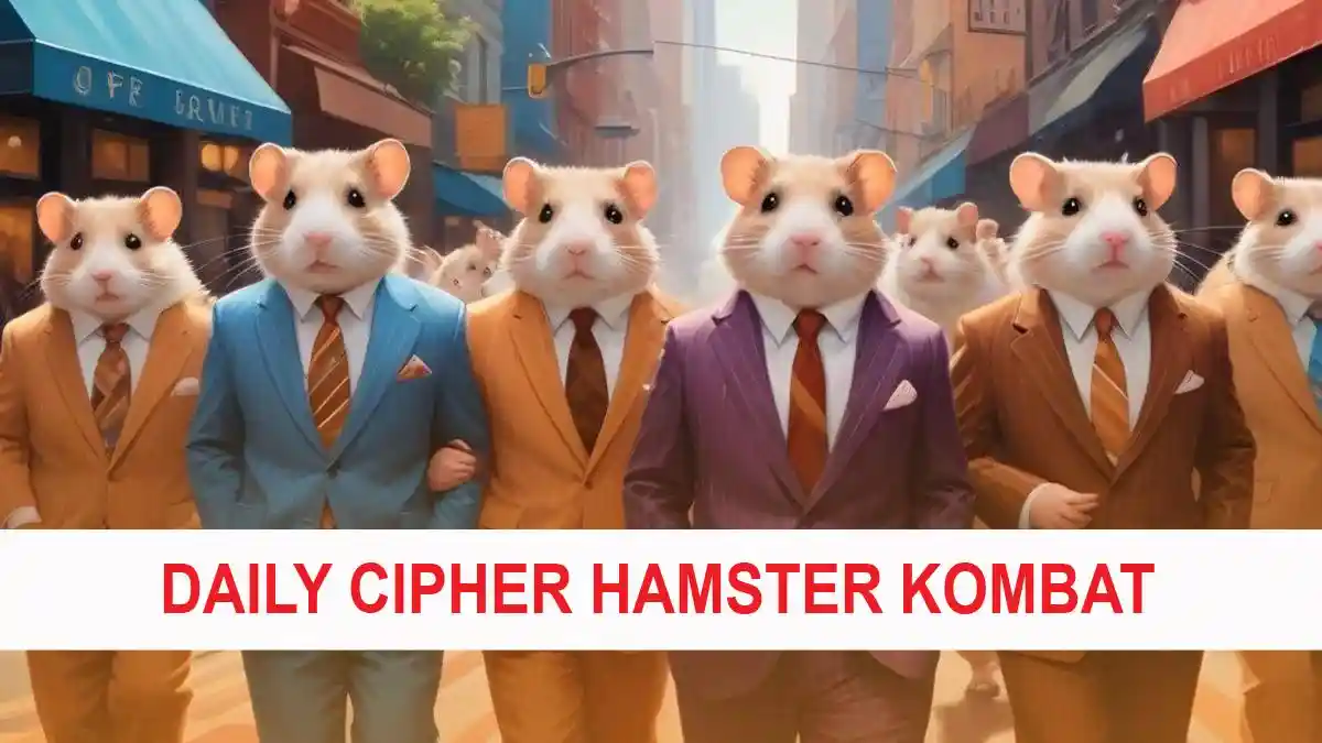 Update Daily Cipher Hamster Kombat 3 Juli 2024, Trading Bots Jadi Kartu Combo, Buruan Klaim!