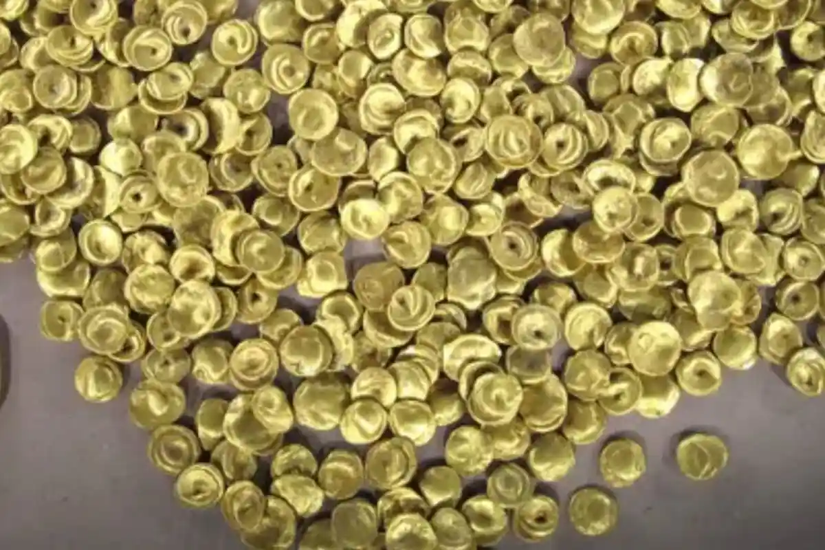 Para Pencuri Gondol Harta Karun Koin Emas dalam Tempo 9 Menit