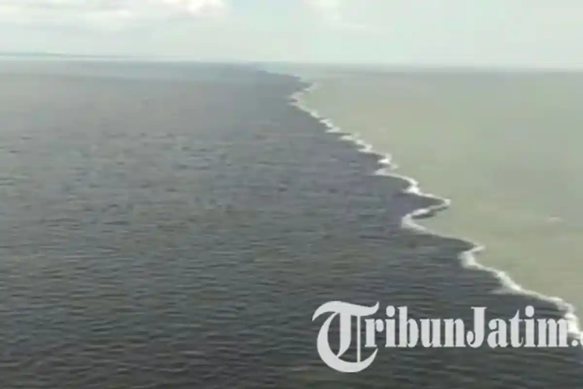 VIDEO VIRAL Warna Laut Suramadu Jadi 2, Memanjang Sampai 60 Km, BPWSM Ungkap Penyebabnya