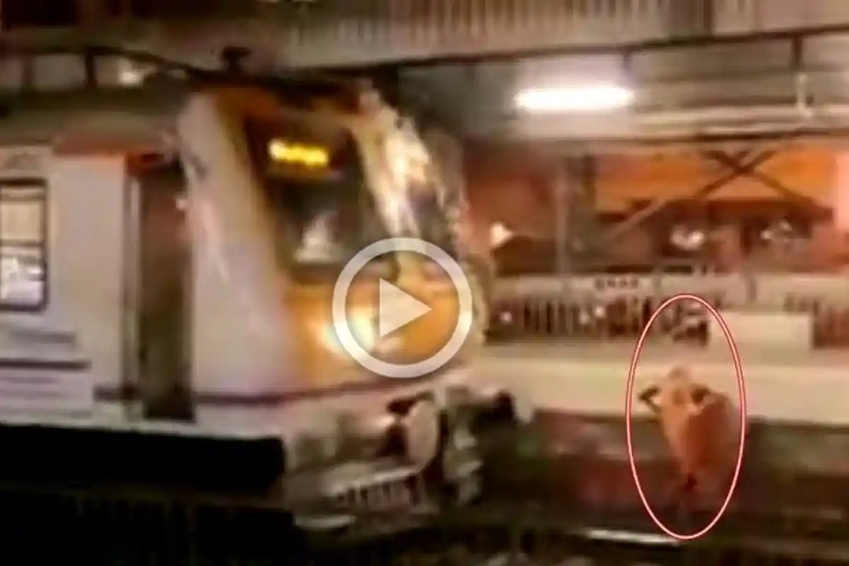 Seorang Nenek Berjalan di Atas Rel Kereta, Kejadian Selanjutnya Buat Netizen Geram