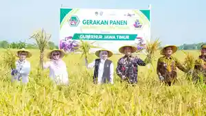 panen-raya-di-madiun.jpg