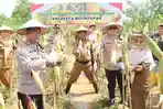 Dukung Ketahanan Pangan Nasional, Polresta Balikpapan Bersama DKP3 Panen Jagung di Teritip