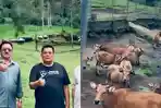 PETERNAKAN-Intip-Peternakan-Milik-Eks-Kapolda-Gorontalo.jpg