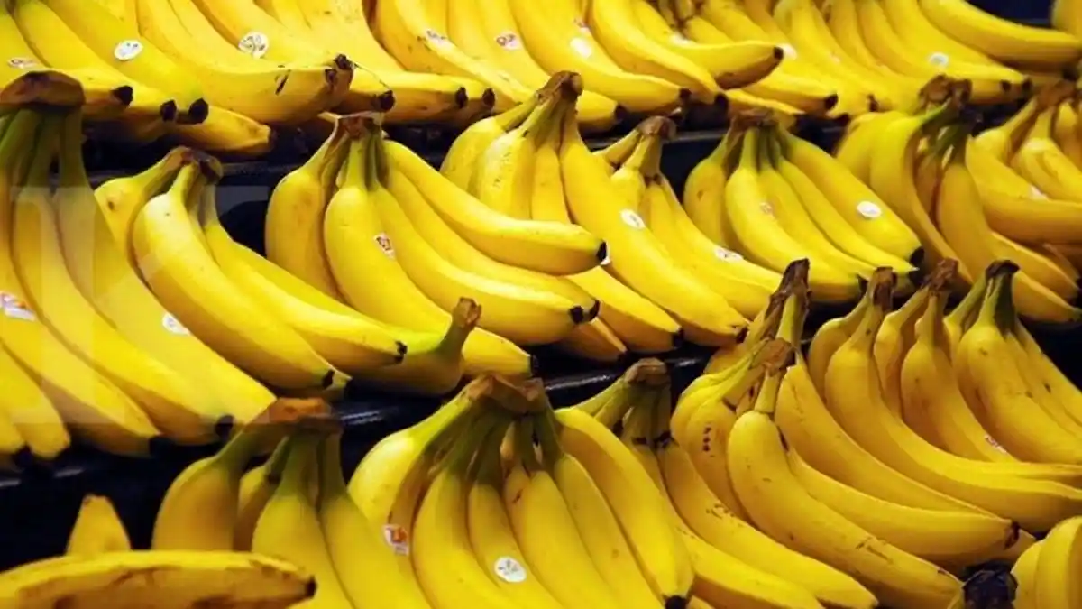 Jangan Sepelekan Buah Pisang, Walau Murah Banyak Manfaatnya