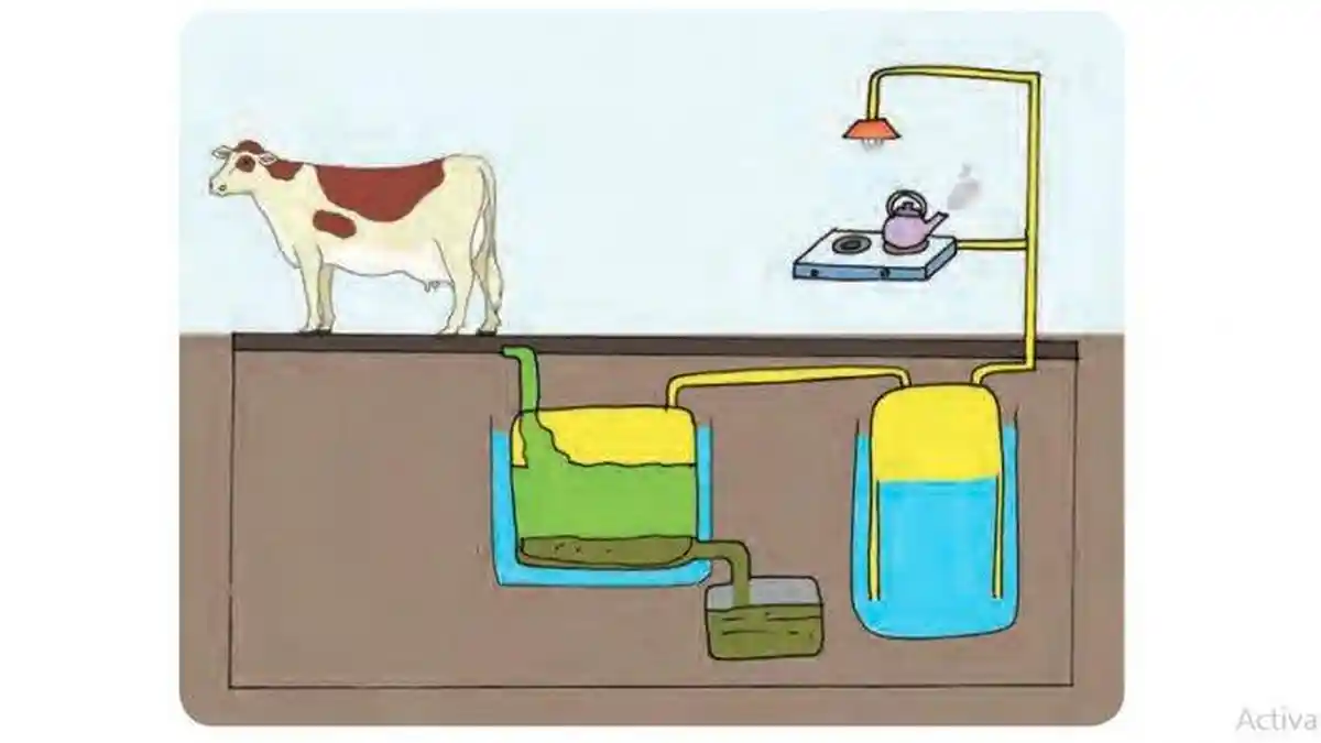 KUNCI JAWABAN Tema 9 Kelas 4 SD/MI Halaman 124, Mengapa Kompor Biogas Kotoran Sapi Ramah Lingkungan?