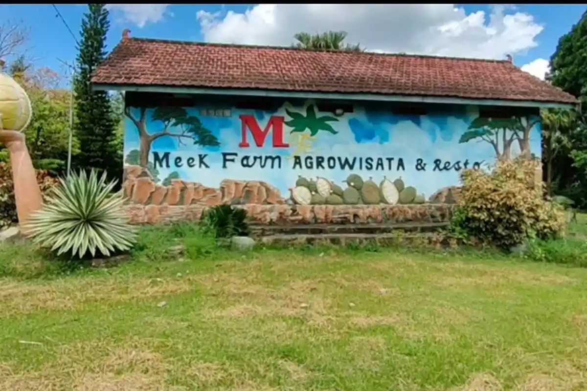 Mengunjungi Meek Farm Agrowisata dan Resto Banjarbaru, Ada Beragam Jenis Durian