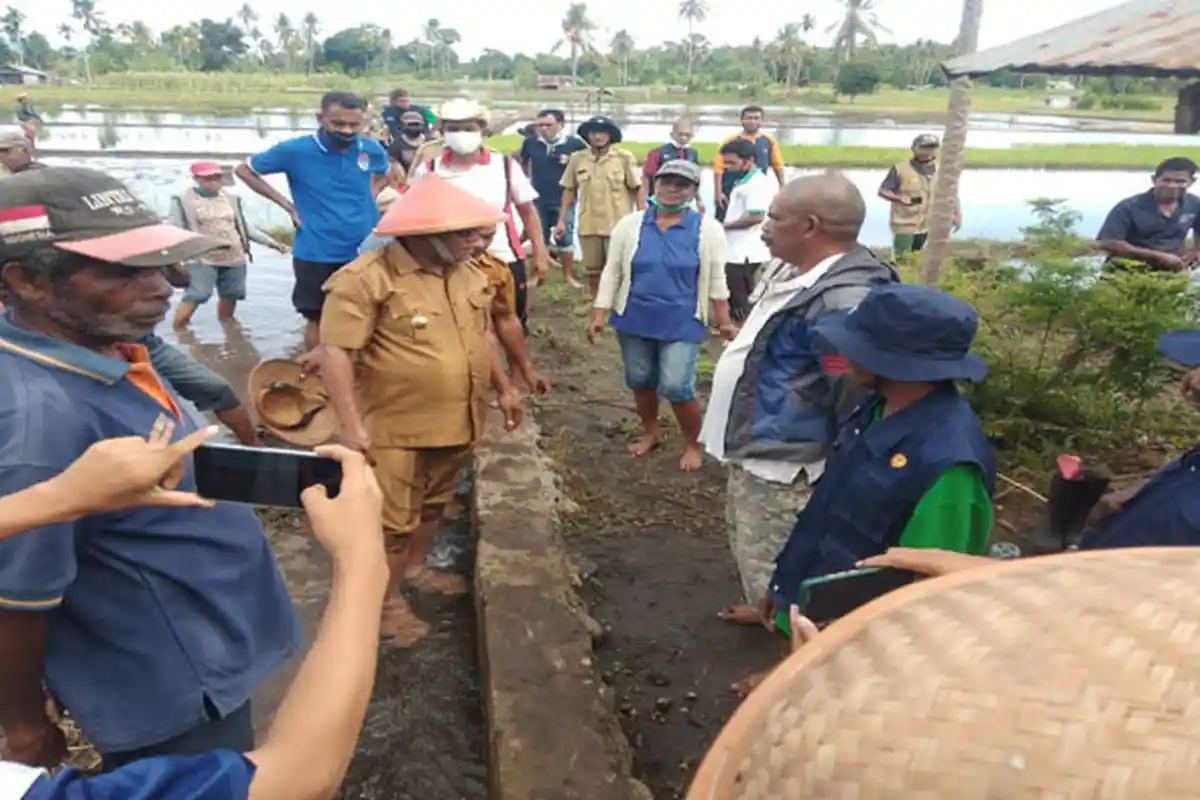 Kantor Petani di Waikomo Lembata Dibangun Dengan Cara Gemohing atau Gotong Royong