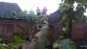 Hujan-Angin-Landa-SlemanLongsor-dan-Pohon-Tumbang-Timpa-Rumah-di-Prambanan.jpg