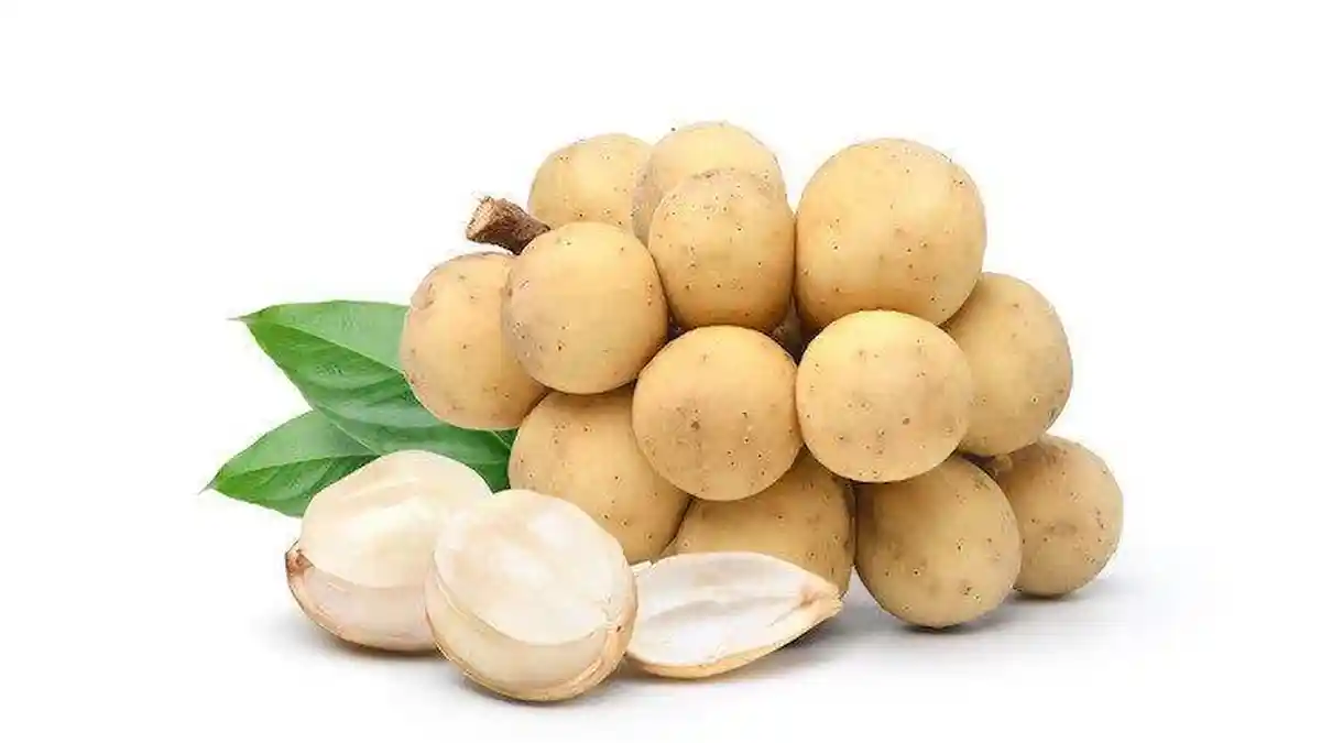 Jarang Diketahui, Ternyata ini 7 Khasiat Buah Duku untuk Kesehatan, Dapat Kontrol Gula Darah