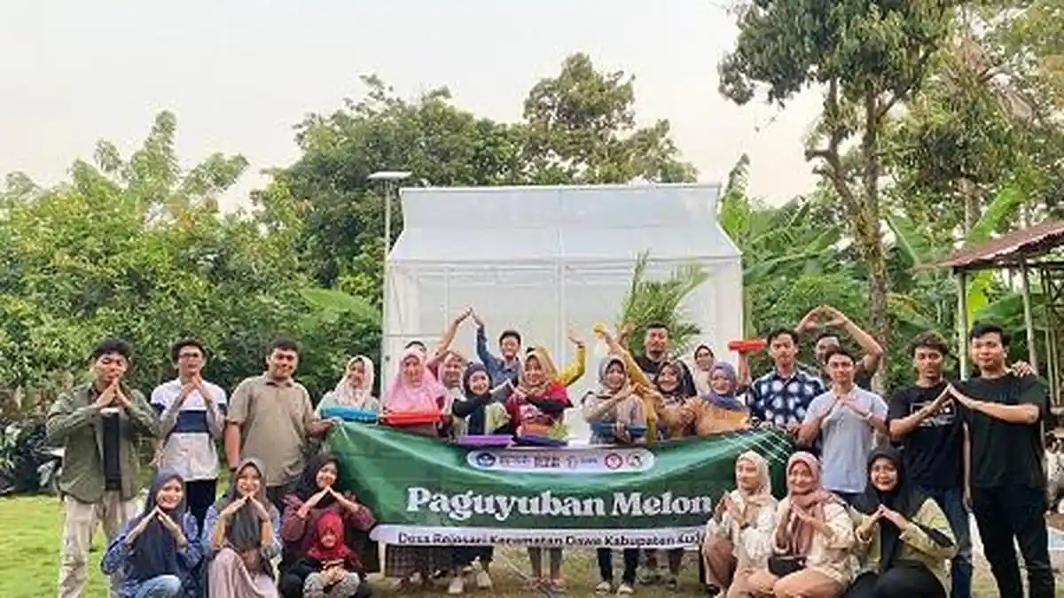 Ini Keunggulan Desa Rejosari Dawe Kudus, Punya Potensi Khas Melon Hidroponik
