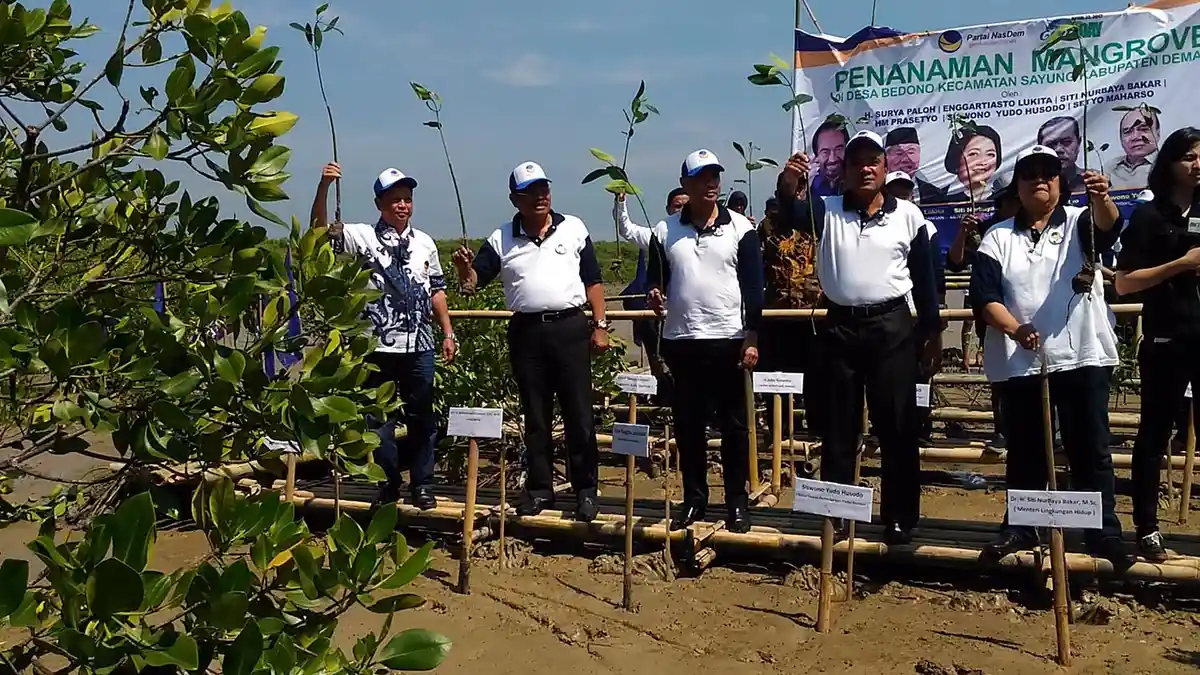 Menteri Lingkungan Hidup Menanam Mangrove di Morosari Demak