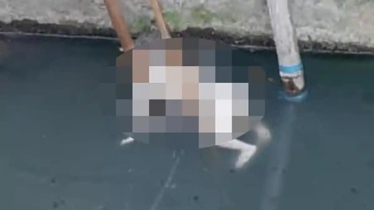Mayat Bayi Perempuan Baru Lahir Tersangkut di Sungai Kampung Malang