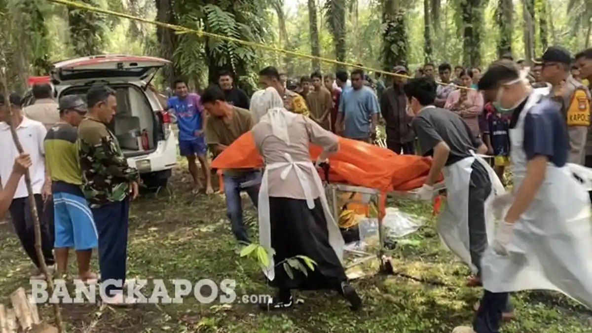 Pria Asal Garut Ditemukan Tewas Tergantung di Kebun Sawit Desa Air Bulin Babar