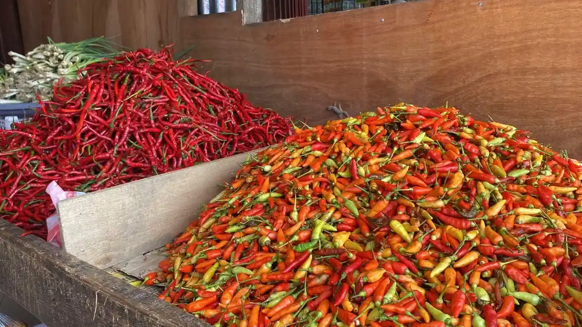 Daftar Harga Bahan Dapur Usai Lebaran Idul Fitri 2026, Cabai Rawit Rp. 140 Ribu per Kg