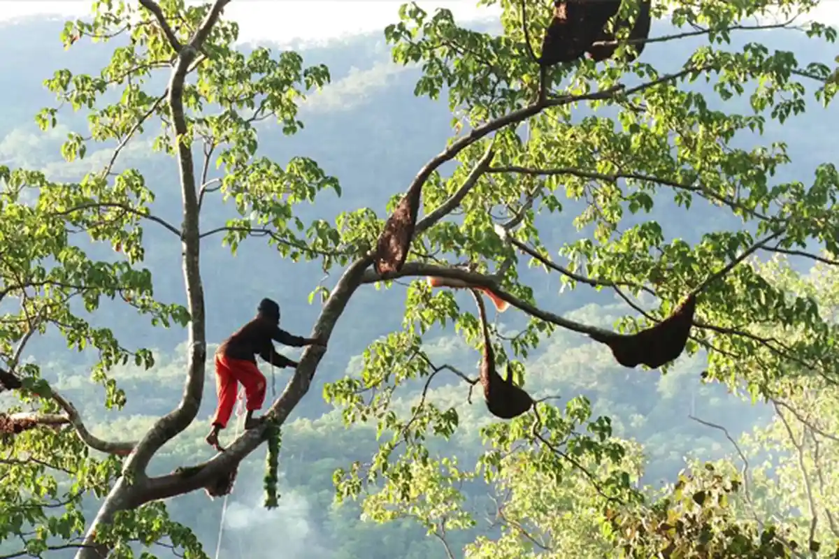 Nyawa Jadi Taruhan, Ini 5 Bahan Makanan yang Butuh Perjuangan untuk Bisa Mendapatkannya