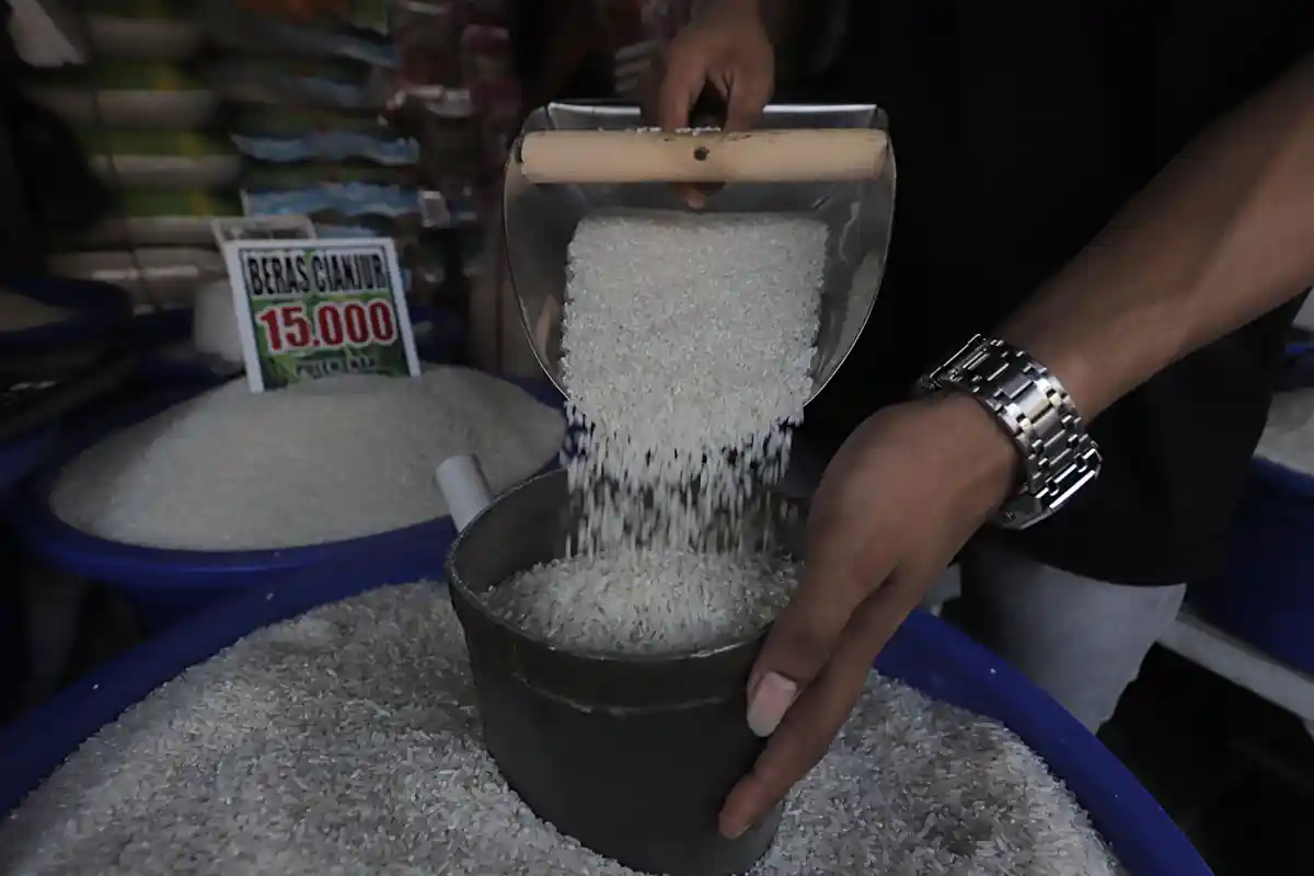 2 Penyebab Harga Beras Naik Menurut Anggota DPR, Kartel Dituduh Ikut Bermain