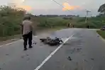 Kronologi Sepeda Motor Tabrak Truk Boks di Tikungan Jalan Trans Kalimantan