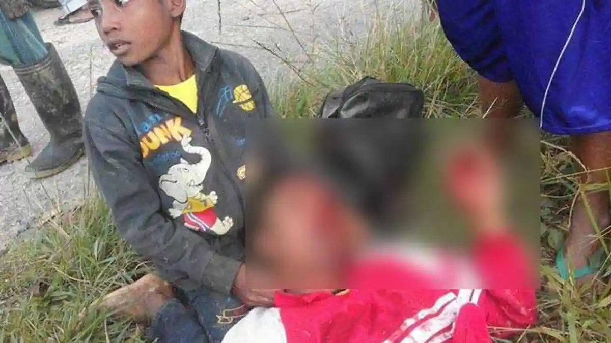 Bus Dwi Putra Terjungkal Masuk Sawah, 10 Penumpang Kritis