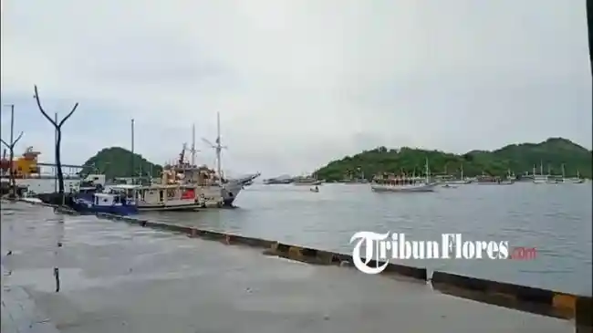 Tribun