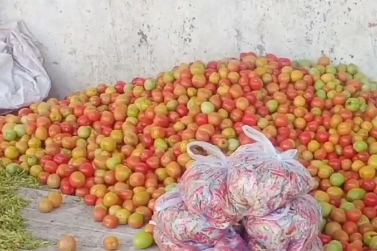 Jelang Hari Raya Paskah, Harga Tomat di Pasar Baru Kefamenanu TTU Melonjak Tajam