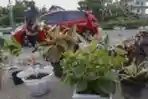 Penjualan Bunga di Banda Aceh Laris Manis