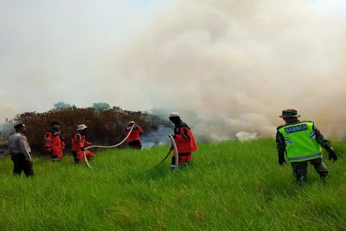 Tol Palindra Sempat Tertutup Asap Gara-gara 4 Ha Lahan Terbakar