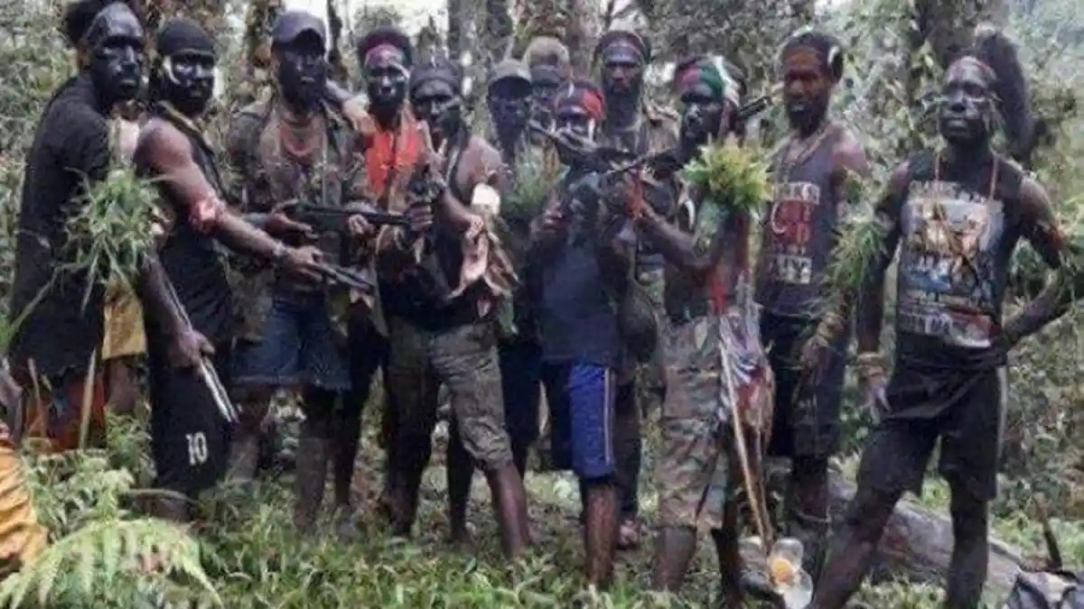 Ternyata Ada Anggota KKB Papua yang Mantan TNI, Mereka Sangat Terlatih
