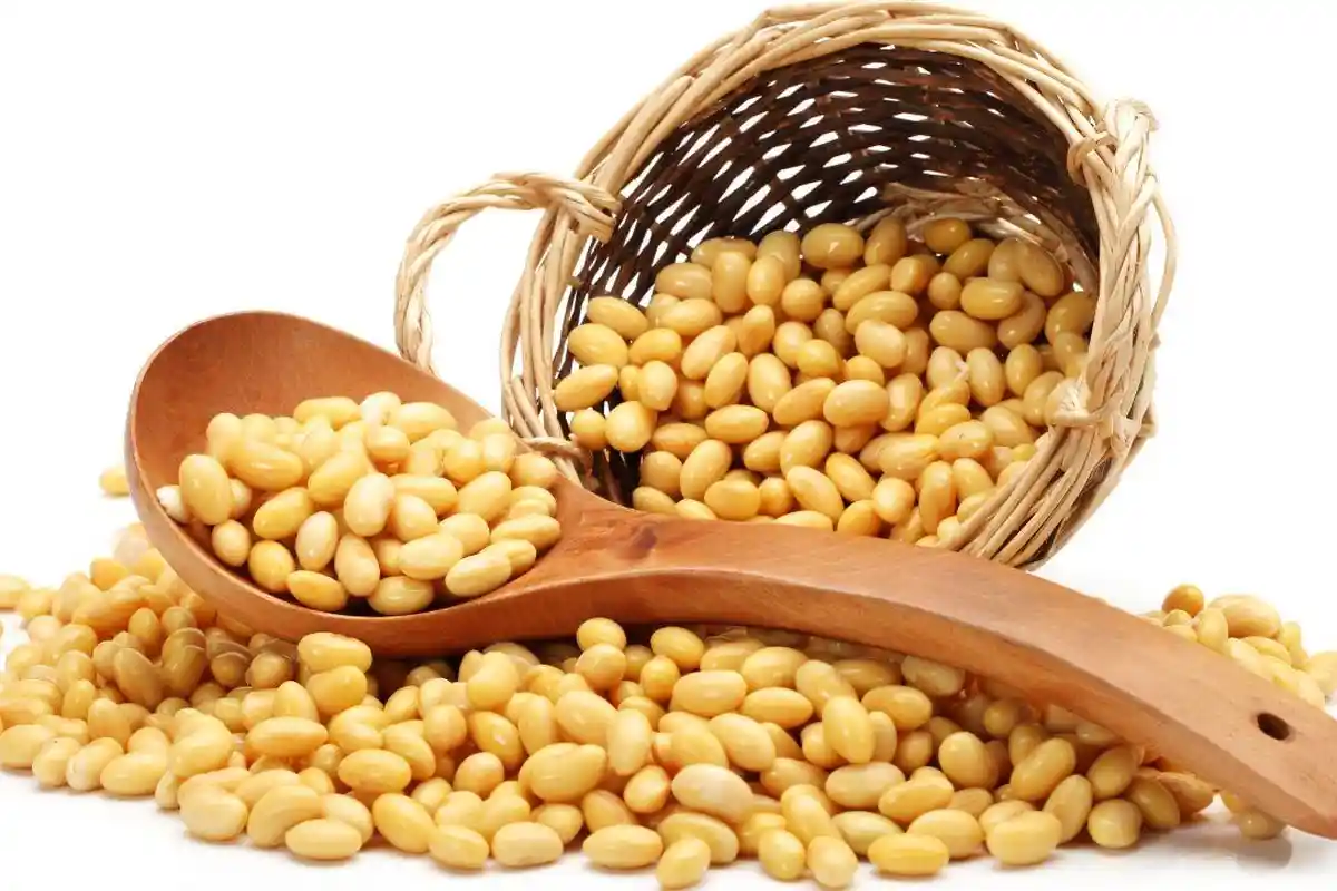 5 Manfaat Kacang Kedelai, Sumber Protein Asia Sejak 5.000 Tahun Lalu