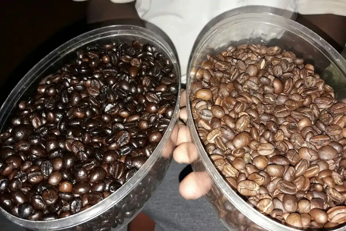 Di Desa Ini Pohon Kopi Ditanam di Halaman Rumah, Tak Ada Kebun Kopi, tapi Rasa Kopinya Wow