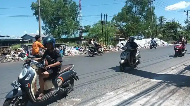 Tribun