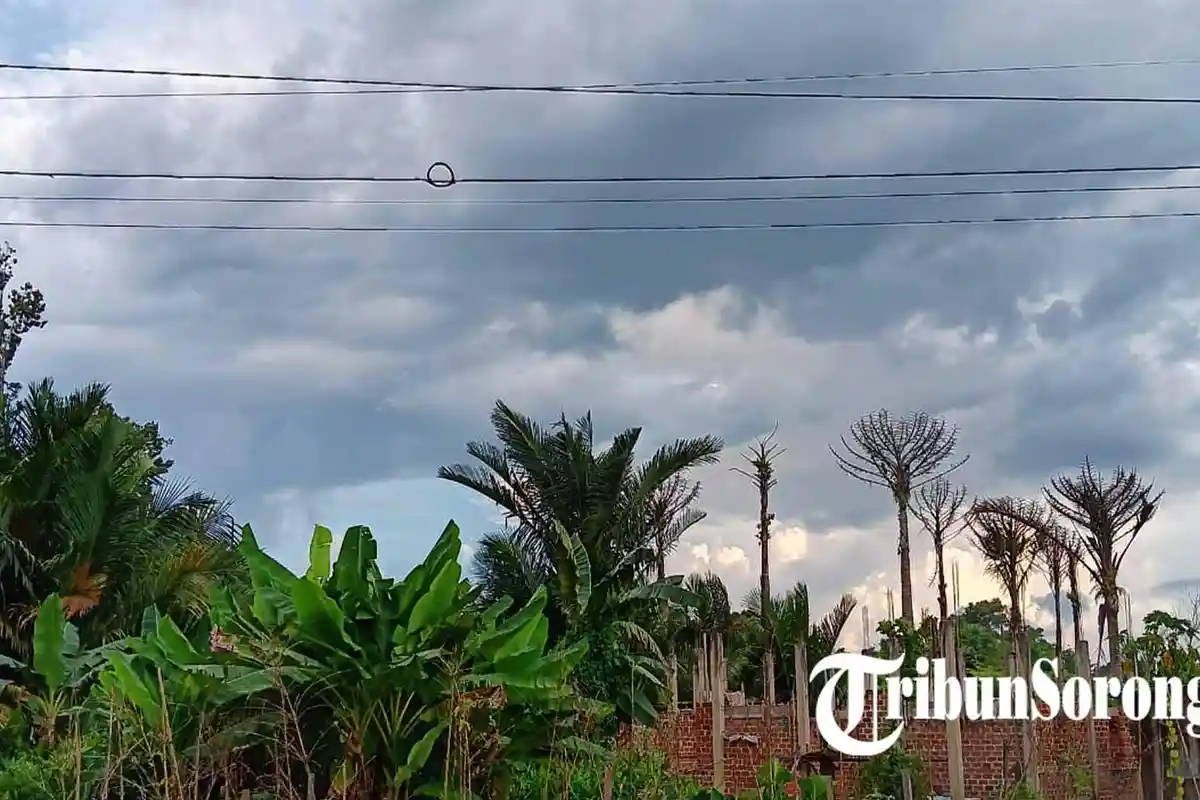Cuaca Cerah Berawan di Sorong, Warga Diminta Waspada Hujan Ringan Siang Hari